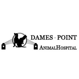 Dames Point Animal Hospital