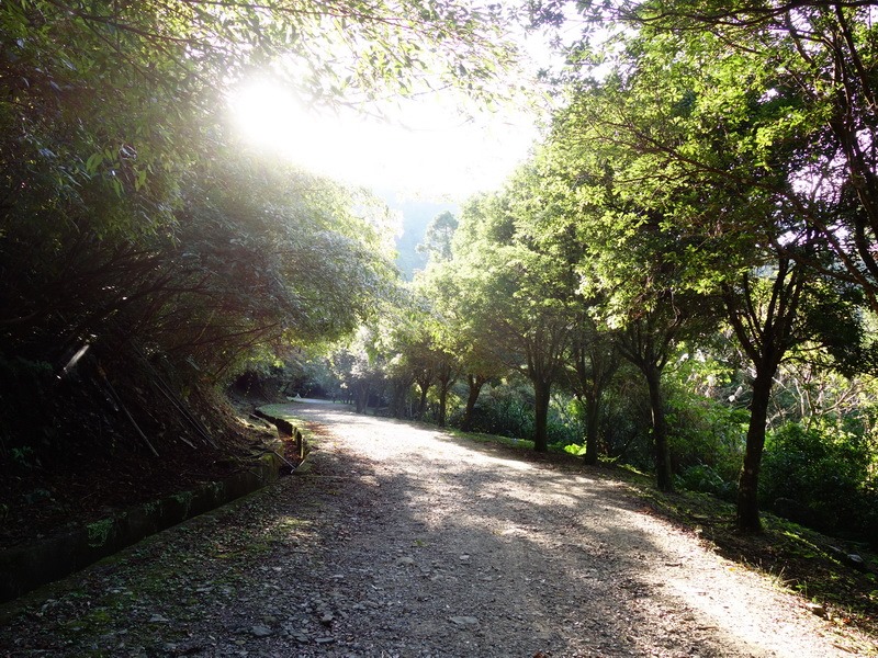 2013_1207 東滿步道→拉卡山→北插天山水源地_014