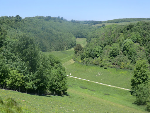 CIMG7292 Valley in Arundel Park