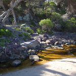 Woodburn Creek (106084)