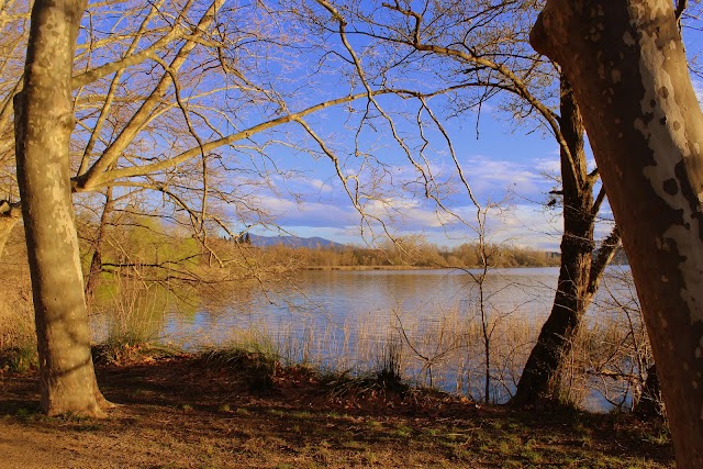 Lac de Banyoles