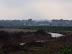 view back to Burnham Overy Staithe