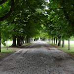 Château de Malesherbes : allée