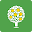지혜의 숲 Download on Windows