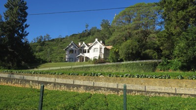 Hill Side House