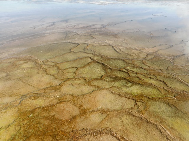 C231_USA WY Yellowstone NP Midway Geyser Basin_2018-09-26_DSCN2859