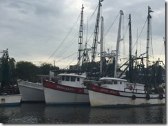 Cumberland Isl Anch Return Trip 2015-11-03 024