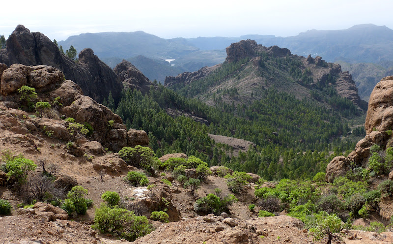 Gran Canaria P1180053