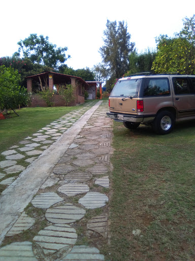 Hotel Victor Victoria, Carr Tenancingo-Zumpahuacan-San Gaspar-San Andrés Nicolas Bravo 100, Tenancingo de Degollado, Méx., México, Hotel | EDOMEX