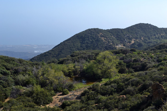 pond along the ridge