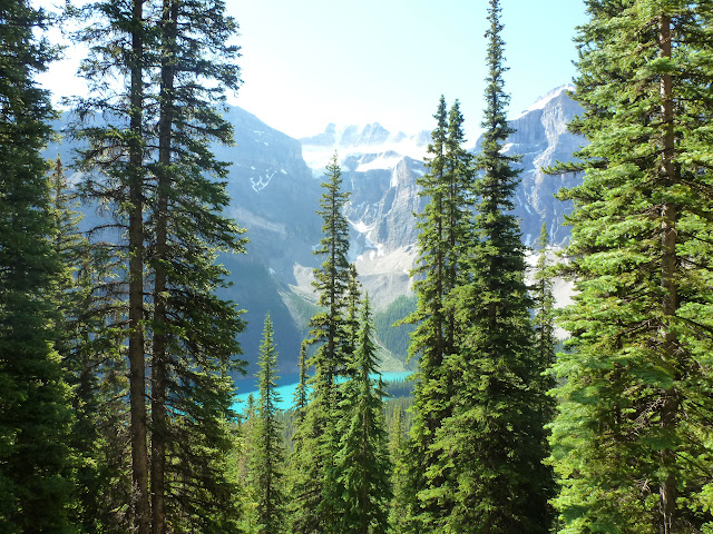 LAS ROCOSAS DE CANADA. YELLOWSTONE Y GRAND TETON. - Blogs de Canada - Lake Moraine. Larch Valley y Sentinel Pass. Eiffel Lake. 4 de julio (4)