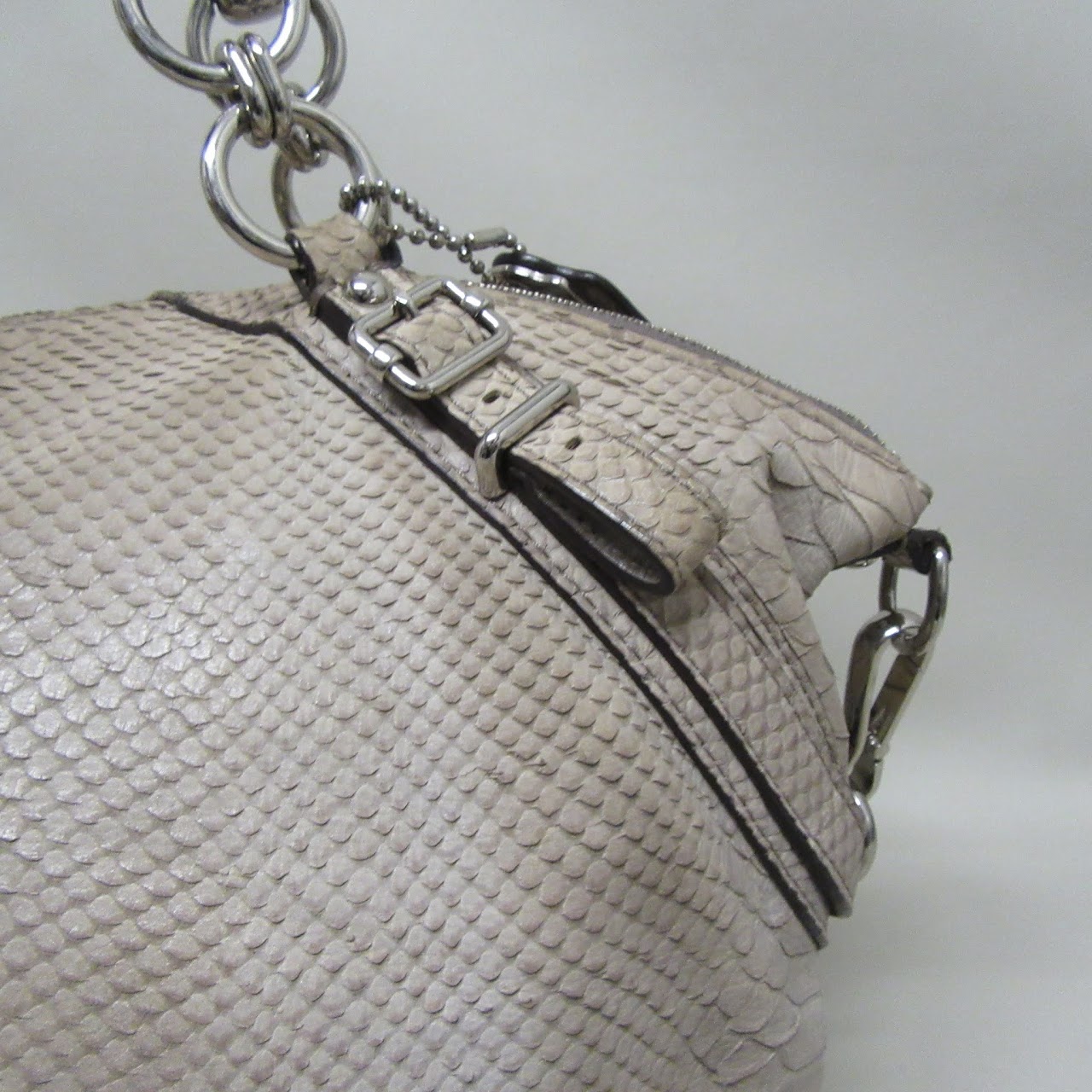 Coach Python Leather Bag