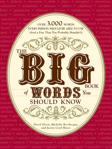 The Big Book Of Words You Should Know