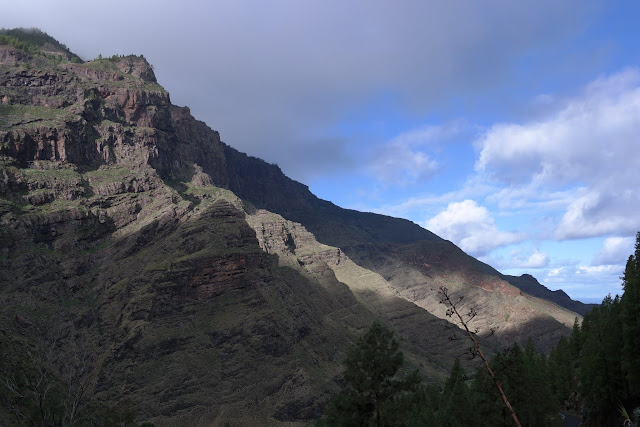 GRAN CANARIA MAR Y MONTE - Blogs of Spain - VALLE DE AGAETE, CALDERA DE BANDAMA, TEROR (4)