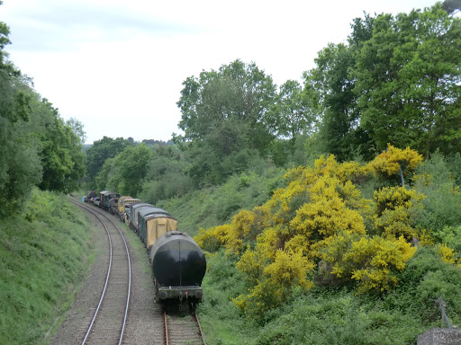 CIMG8284 Spa Valley Railway outside Groombridge