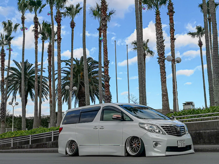 アルファードのTEAM Excitación・20皇低・フリーダム・🌴🌴🌴・立ちシ○ンに関するカスタム事例の投稿画像1枚目