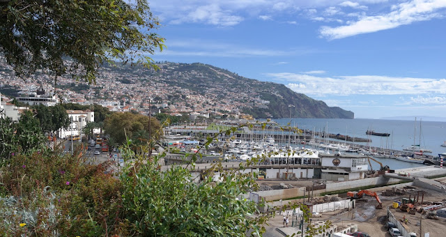 FUNCHAL  Y MONTE - MADEIRA: JARDÍN BOTÁNICO CON VISTAS AL MAR (7)