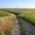 20140726_Fishing_Sergiyivka_030.jpg