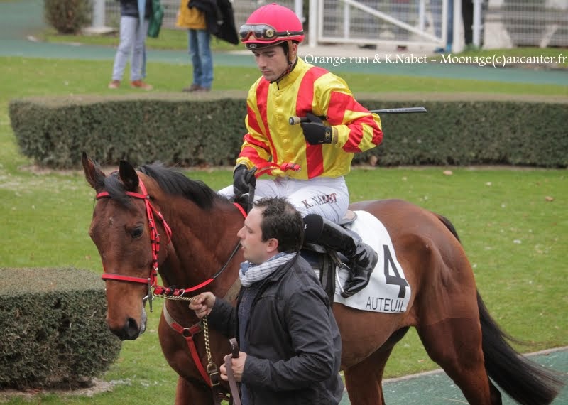 Photos Auteuil 1-03-2015 IMG_7054