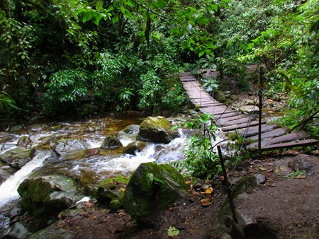 valle de Cocora