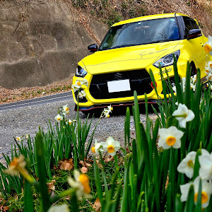 スイフトスポーツ ZC33S