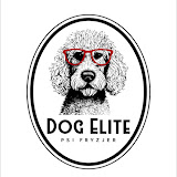 Dog Elite psi fryzjer przymorze Gdańsk