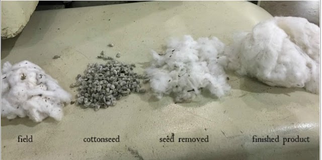 Ginning Process for Cotton - Spinning, Textile, Yarn