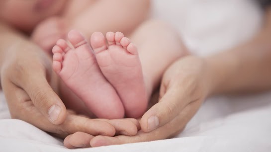 Khi bố mẹ già đi