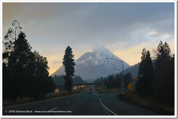 151124_MtShasta_0005