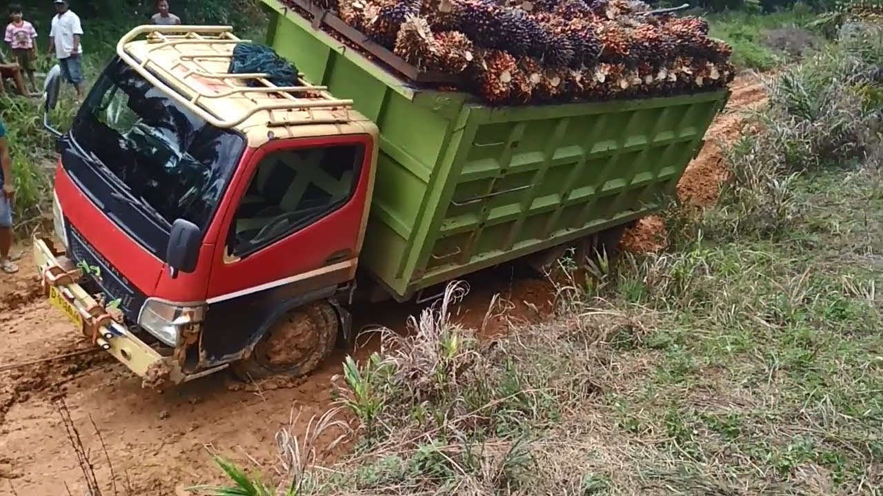 Mobil Truk  yang  Cocok  untuk  Angkutan Komoditas Kelapa 