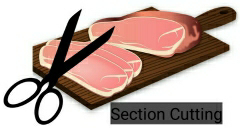 Section Cutting In Histopathology