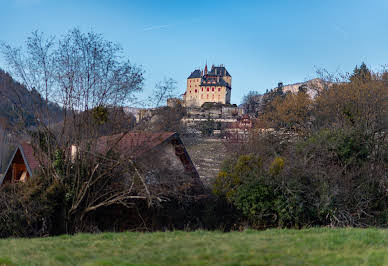 Villa avec piscine et jardin 4