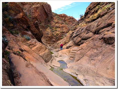 Window Trail...Big Bend