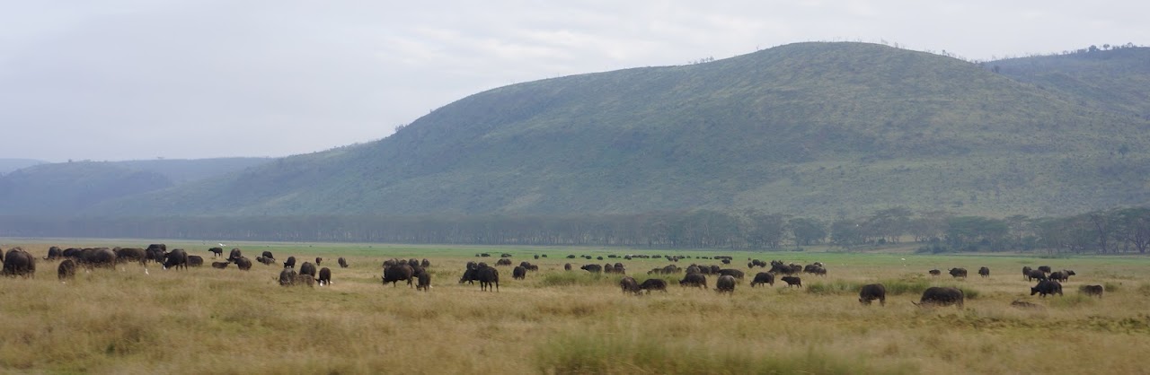 Кения+Танзания на Новый Год 2012