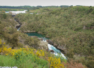 ROTORUA-TAUPO-HUKA FALLS - NUEVA ZELANDA EN AUTOCARAVANA. UN VIAJE DE ENSUEÑO (12)