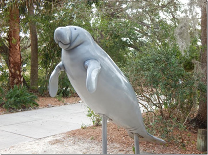 Manatee