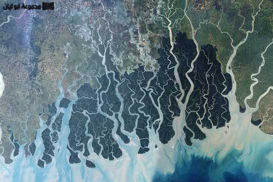 عجائب الدنيا السبع الطبيعيه Sundarbans