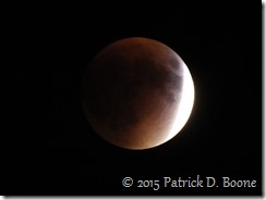 Lunar Eclipse 11