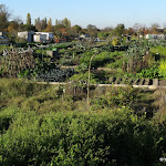 Villeneuve-Saint-Georges : jardins