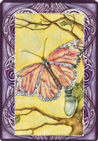 Oracle Wicca ► Nada Mesar, Lunaea Wheaterstone & Chatriya Hemharnvibul 24+Butterfly