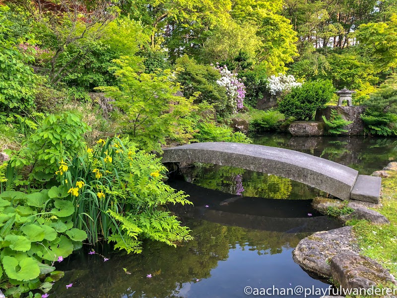 押立温泉 住吉館 sumiyosikan (13 - 34).jpg
