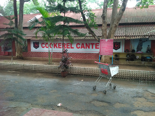 Cockerel Canteen, Bajra - Bariatu Rd, Ranchi University, Morabadi, Ranchi, Jharkhand 834001, India, Canteen, state JH