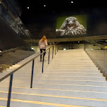 stairs inside the harpa in reykjavik in Reykjavik, Iceland 