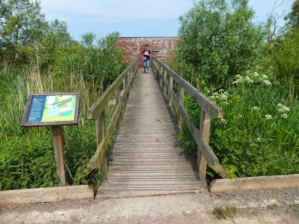 Hide on Rockland Broad