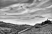 25 aprile 2014 Santo Stefano Belbo e Canelli - fotografia di Vittorio Ubertone