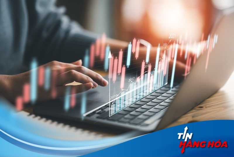 Cổ phiếu CTP "bùng nổ" 700%: Bí ẩn đằng sau cú tăng chóng mặt