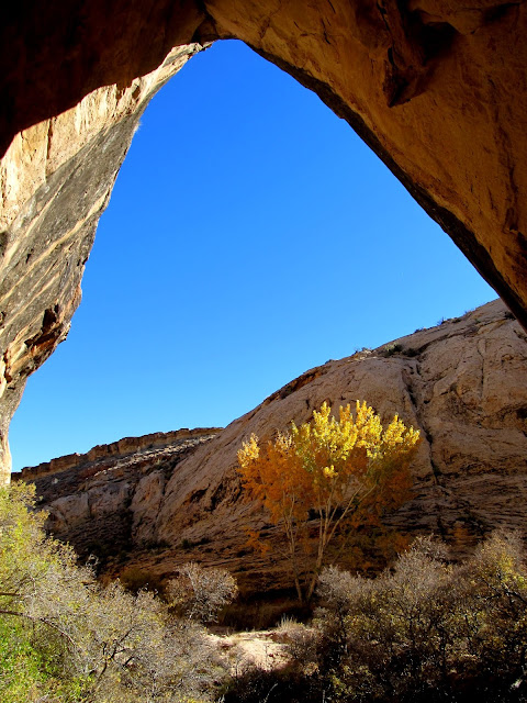 Spring Canyon alcove