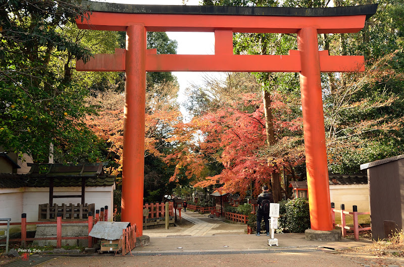 八坂神社