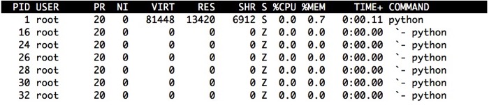 Docker container top wsgiref multi