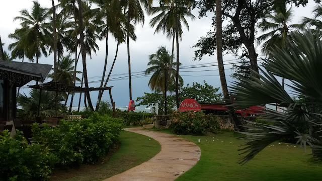 Santo Domingo y Samaná a nuestro aire. - Blogs of Dominican Rep. - Cena de despedida y vuelta a España con tormenta tropical. (3)